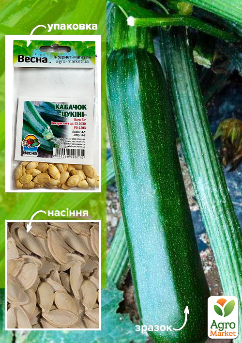 Кабачок "Цуккини" (Зипер) ТМ "Весна" 5г