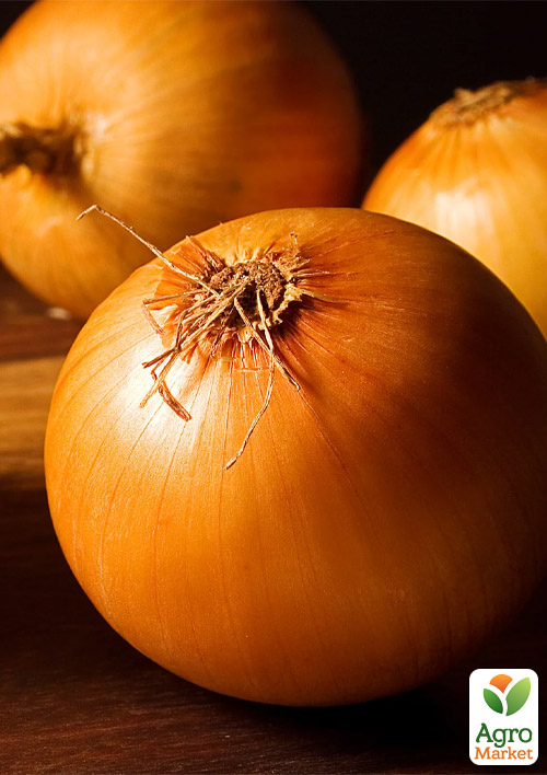 Голландский лук-севок 0.5кг (арбажейка) ранний, желтый "Радар"