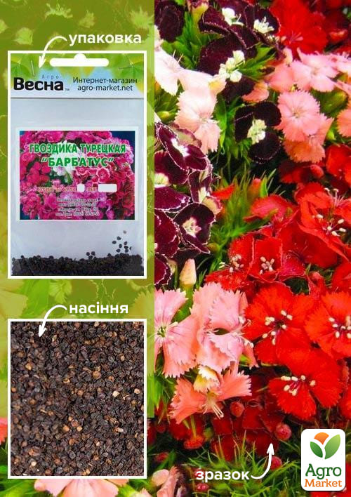 Гвоздика турецька "Барбатус" (Зипер) ТМ "Весна" 1г