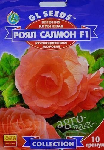 Бегонія бульбова "Роял Салмон F1" ТМ "GL Seeds" 10шт