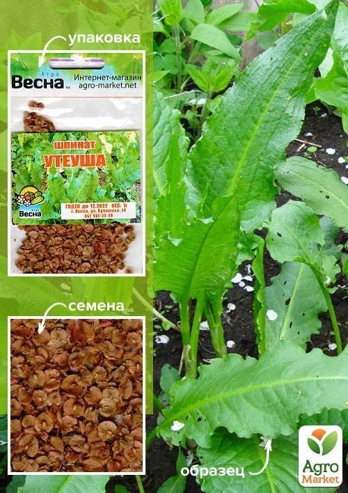 Шпинат "Утеуша" (Зипер) ТМ "Весна" 1г