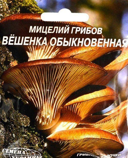 Вёшенка "Обыкновенная" ТМ "Семена Украины" 10шт