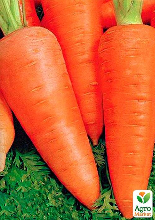 Морковь "Аленка" (Зипер) ТМ "Весна" 5г - фото 3