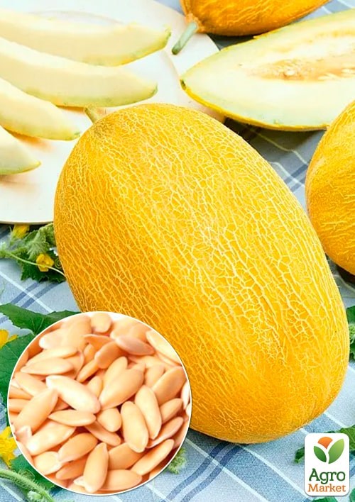 Диня "Берегиня" (Зипер) ТМ "Весна" 3г