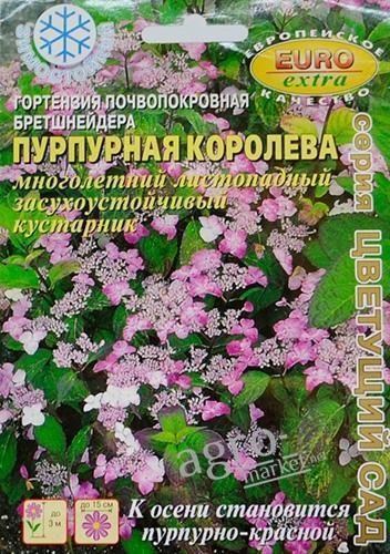 Гортензія грунтопокривна Бретшнейдера "Пурпурова королева" ТМ "Аеліта" 0.005г