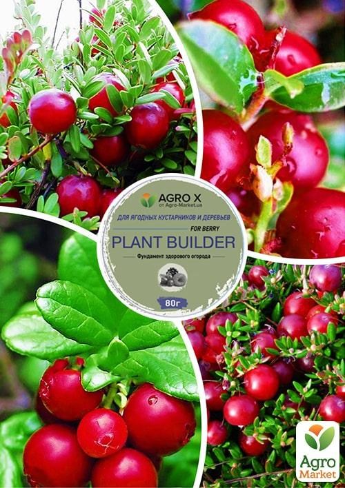 Журавлина, комплект з 4-х сортів "Перлини саду" (Pearls of the Garden) 4шт саджанців + найкраще добриво