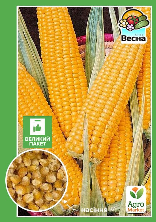 Кукуруза "Супер сладкая F1" (Большой пакет) ТМ "Весна" 10г