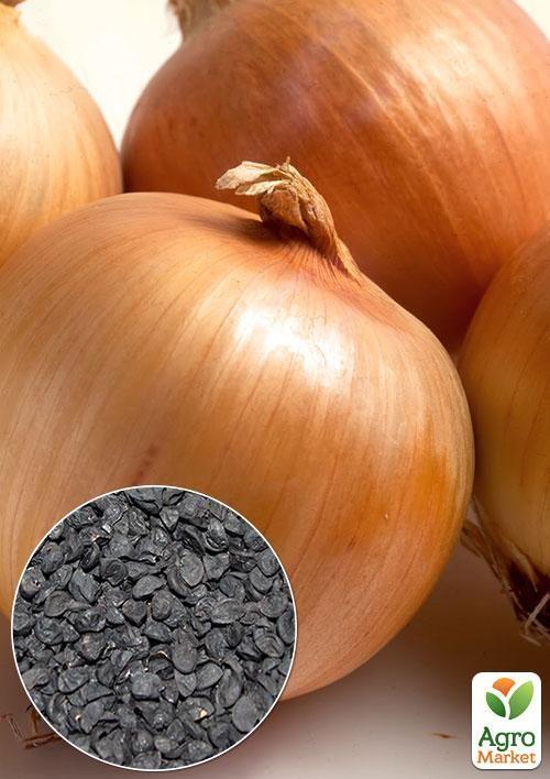 На вагу Цибуля "Фермер" ТМ "Весна" ціна за 5г