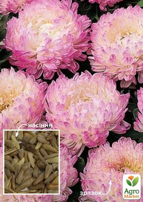 Астра пионовидная "Яблунева" ТМ "Весна" 100г