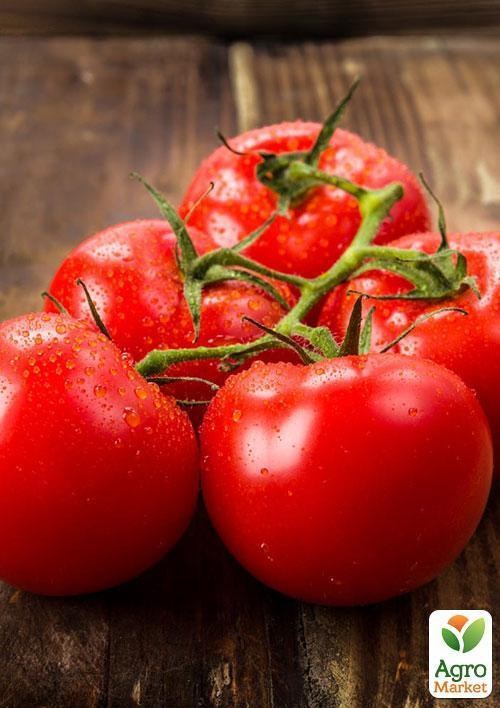 Томат "Мимоза" ТМ "Vesna Select" 0,2г - фото 3