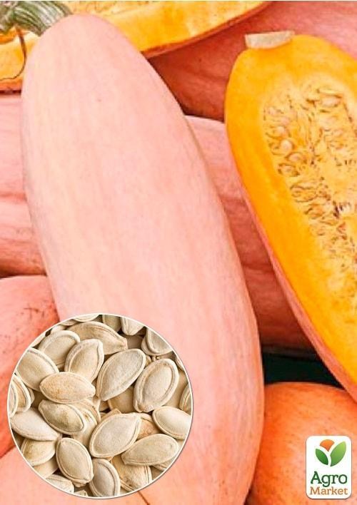 На развес Тыква "Розовый бивень" ТМ "Весна" цена за 10г