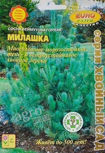 Сосна веймутова горная "Милашка" ТМ "Аэлита" 0.15г