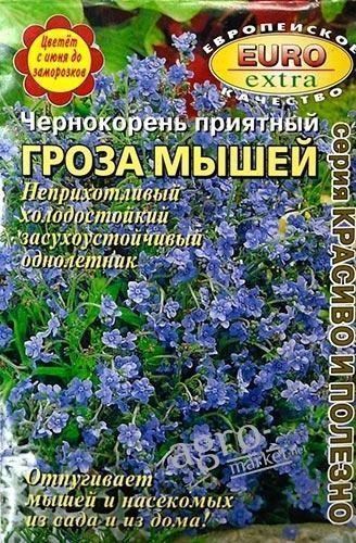 Чернокорень приятный "Гроза мышей" ТМ "АЭЛИТА" 1г