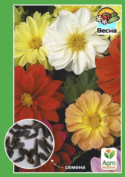 Георгина махровая смесь ТМ "Весна" 0.2г