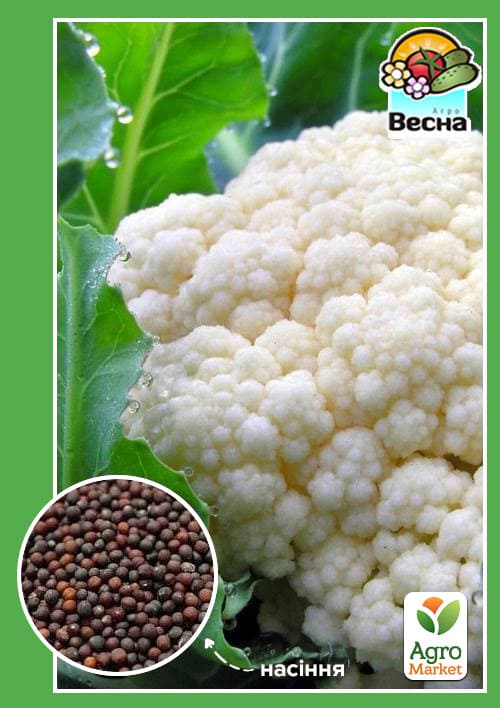 Капуста цвітна «Літня Альфа" ТМ "Весна" 0.3г