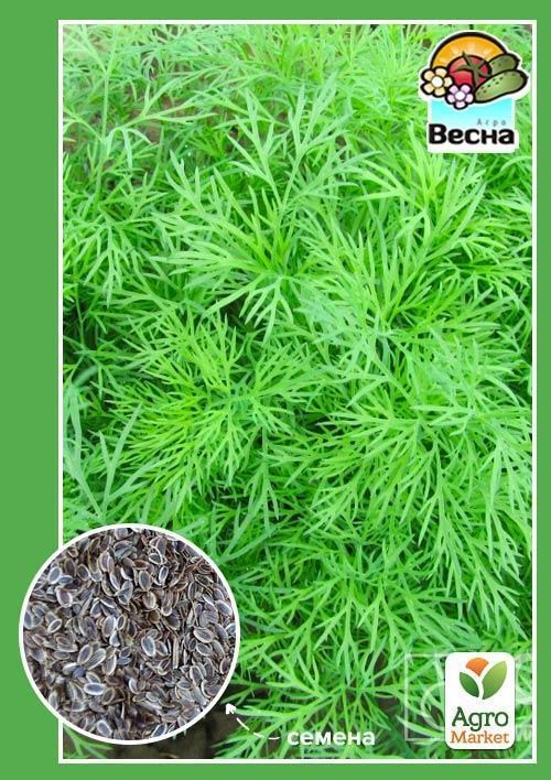 Укроп "Лесногородский" ТМ "Весна" 2г