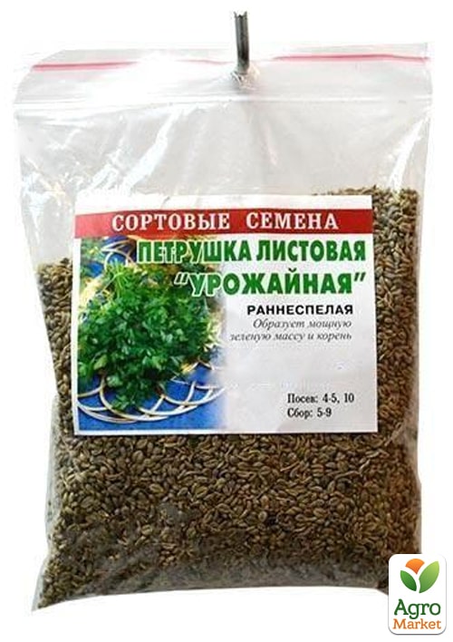 Петрушка "Урожайна" ТМ "Весна" 100г - фото 2