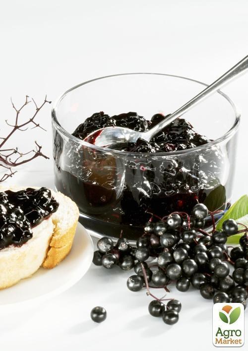 Черемуха "Звичайна" висота саджанця 1,8-2м