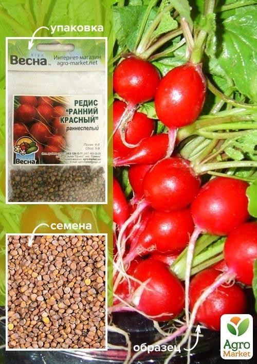 Редис "Ранній червоний" (Зипер) ТМ "Весна" 7г