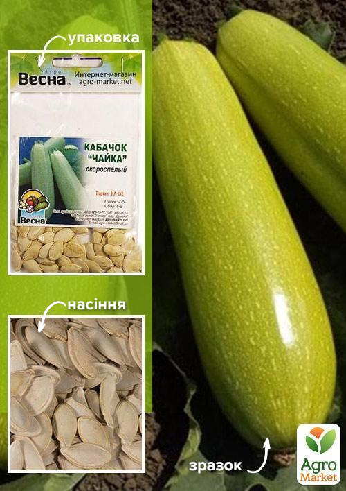 Кабачок "Чайка" (Зипер) ТМ "Весна" 5г