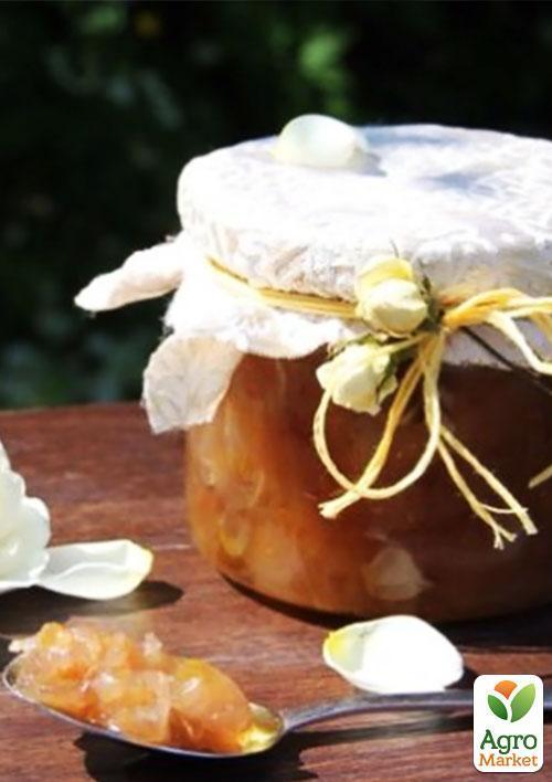 Ексклюзив! Троянда чайно-гібридна святкова біло-кремова "Чарівна" (Magic) (сорт на корисне варення) - фото 4