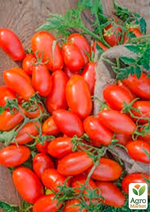 Томат детермінантний «9985 F1» ТМ «Lark Seeds» 5000шт