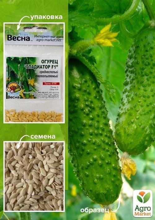 Огірок "Гладіатор F1" (Зипер) ТМ "Весна" 2г