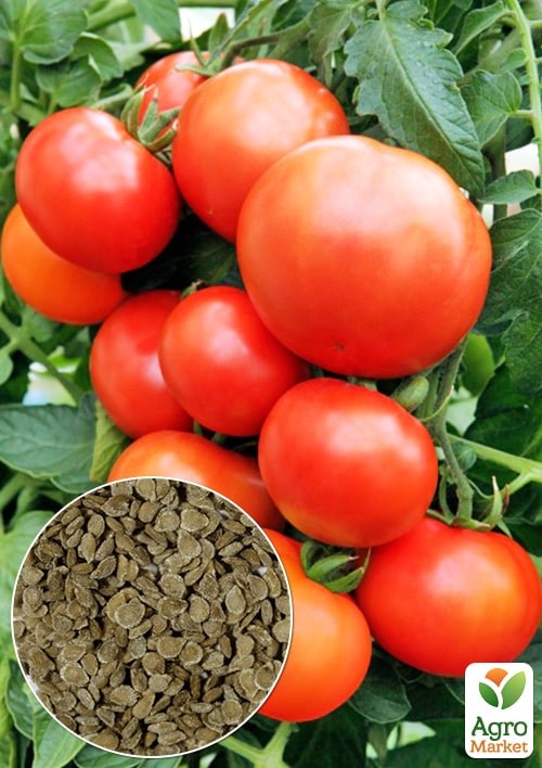 На развес Томат "Финиш" ТМ "Весна" цена за 1г