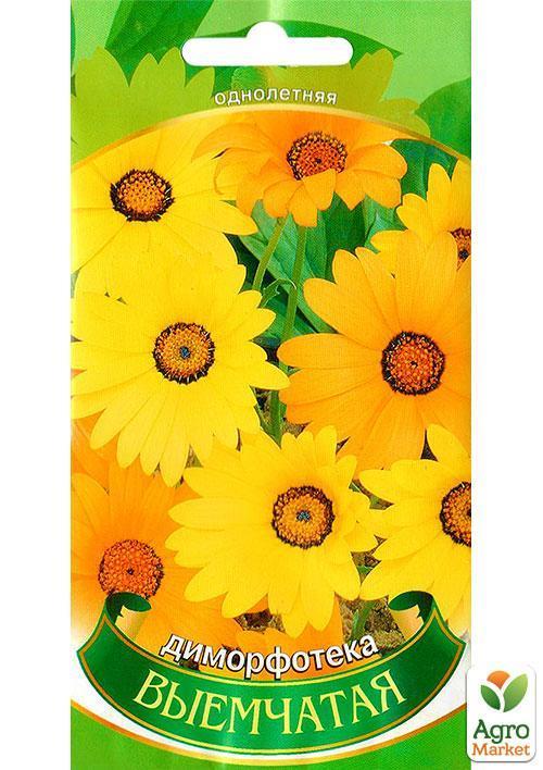 Діморфотека низькоросла "Виїмчаста" ТМ "Весна" 0.3г - фото 2