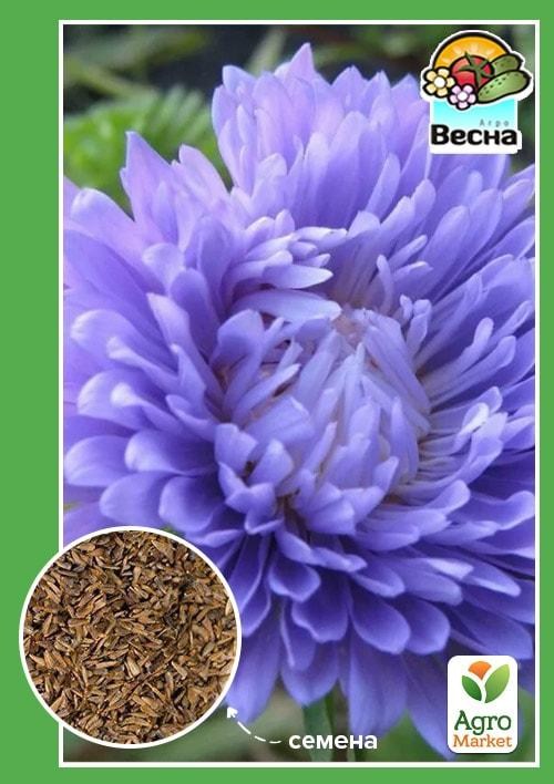 Астра "Букетная" голубая ТМ "Весна" 0.2г