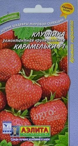 Полуниця "Карамелька F1" ТМ "АЕЛІТА" 10шт