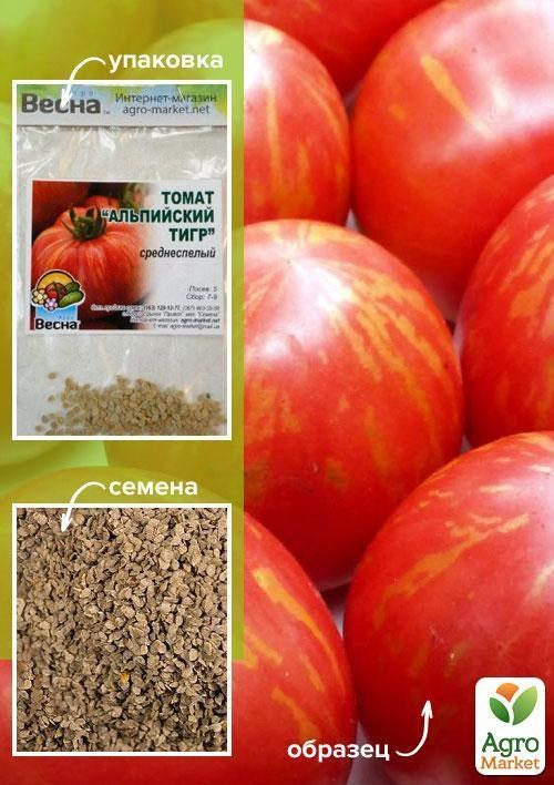 Томат "Альпійський тигр" (Зипер) ТМ "Весна" 0.5г