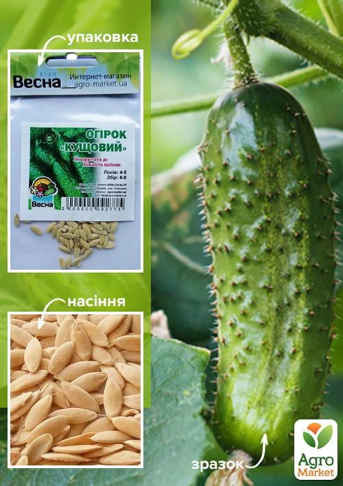 Огірок "Кущовий" (Зипер) ТМ "Весна" 2г