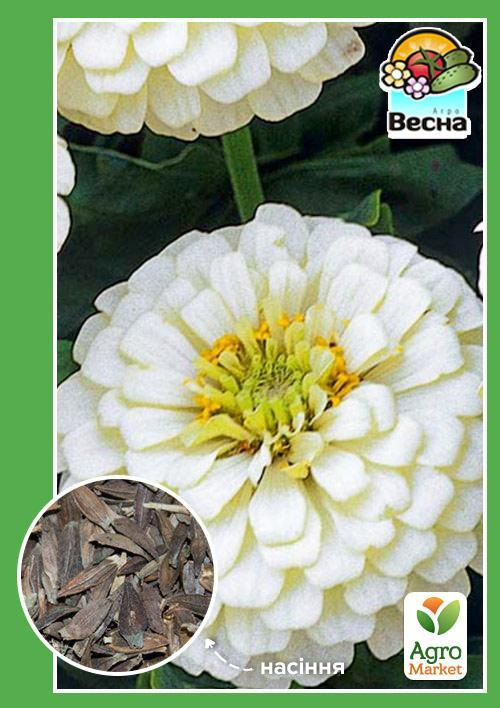 Цинія "Білий ведмідь" ТМ "Весна" 0.4г