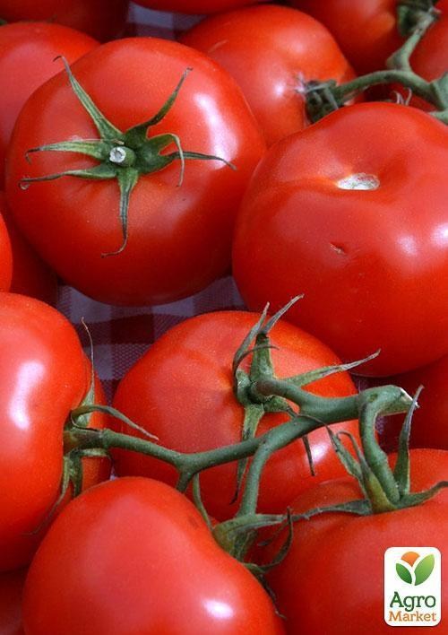 Томат "Мичуринец" ТМ "Vesna Select" 0,2г - фото 4