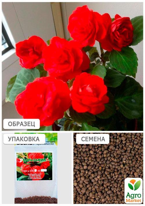 Бальзамін махровий червоний (Зипер) ТМ "Весна" 1г - фото 4