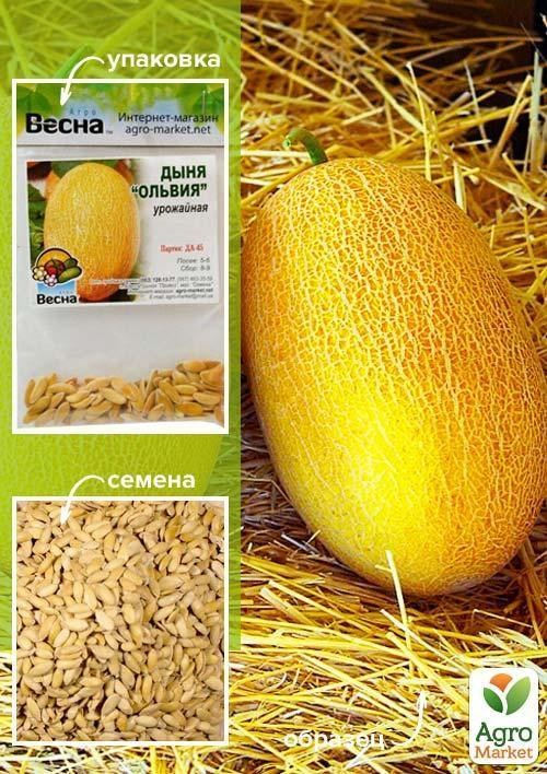 Дыня "Ольвия" (Зипер) ТМ "Весна" 4г