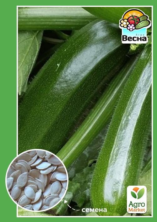Кабачок "Мавр" (Новый пакет) ТМ "Весна" 2г