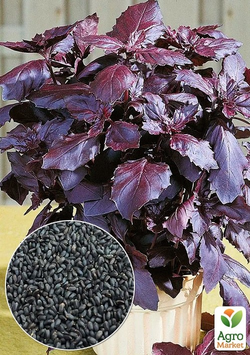 Базилік "Фіолетовий" (Зипер) ТМ "Весна" 1,5г