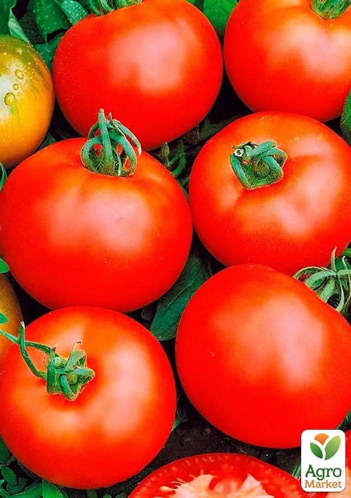 На вагу Томат "Ігранда" ТМ "Весна" ціна за 1г - фото 2