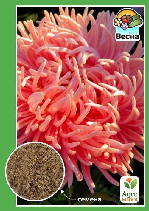 Айстра "Гольдштатц" ТМ "Весна" 0.2г