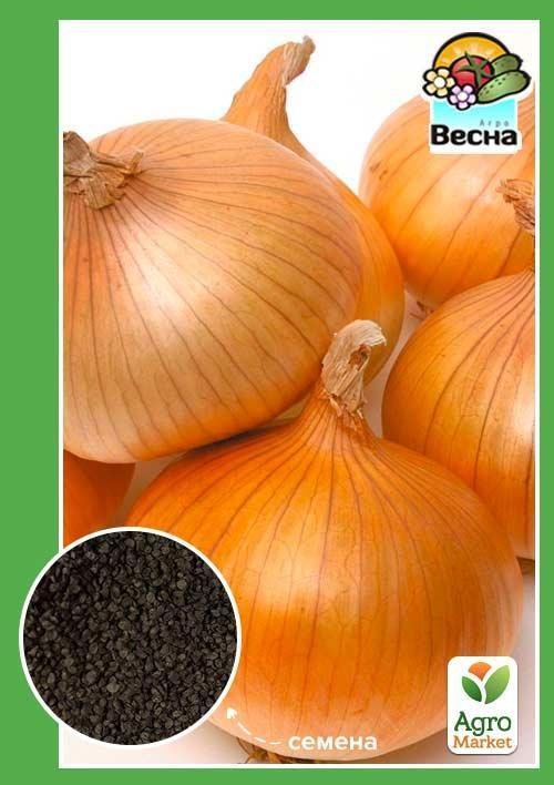 Лук "Луганский" ТМ "Весна" 2г