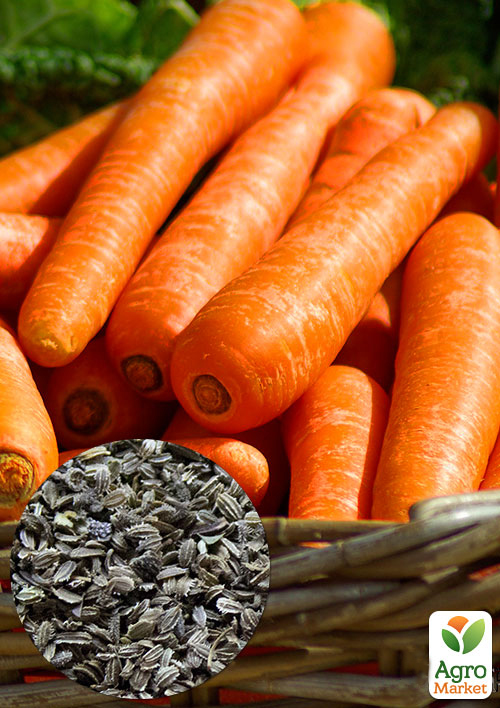 На развес Морковь "Медовянка" ТМ "Весна" цена за 10г