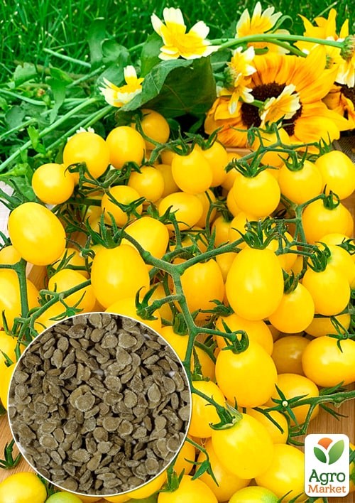 На развес Томат "Златовласка" ТМ "Весна" цена за 1г