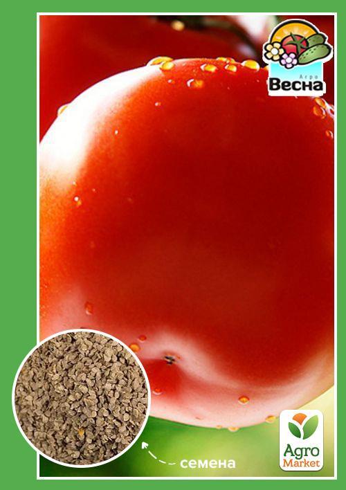 Томат "Київський 139" ТМ "Весна" 0.2г