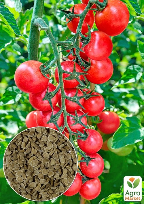 Томат "Агата" ТМ "Весна" 0.2г