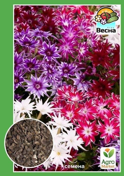 Флокси Друммонда ТМ "Весна" 0.1г