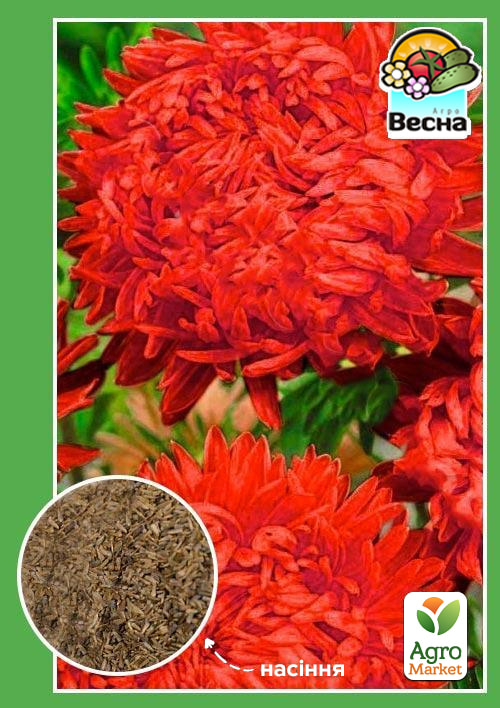 Айстра "Ротер Турм" ТМ "Весна" 0.2г