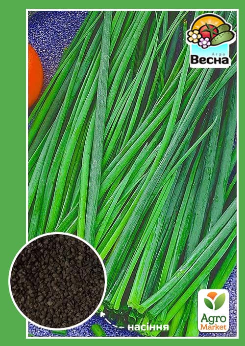Цибуля"На зелень" ТМ "Весна" 0,5г