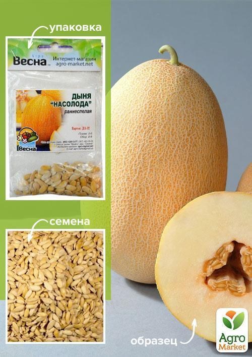 Диня "Насолода" (Зипер) ТМ "Весна" 3г
